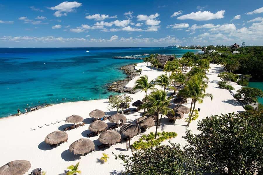 Cozumel: Official Chankanaab Park and Snorkel with Lunch - Underwater Museum, Blue Lagoon, and Mayan-Era Details You Can Actually See