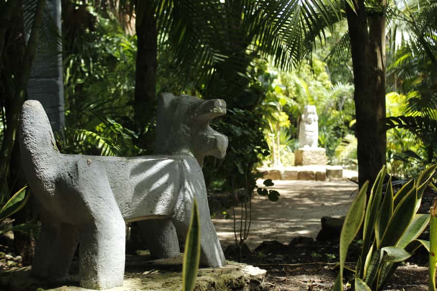 Cozumel: Official Chankanaab Park and Snorkel with Lunch - Lunch by the Sea: What’s Included, and Where It Can Feel Off