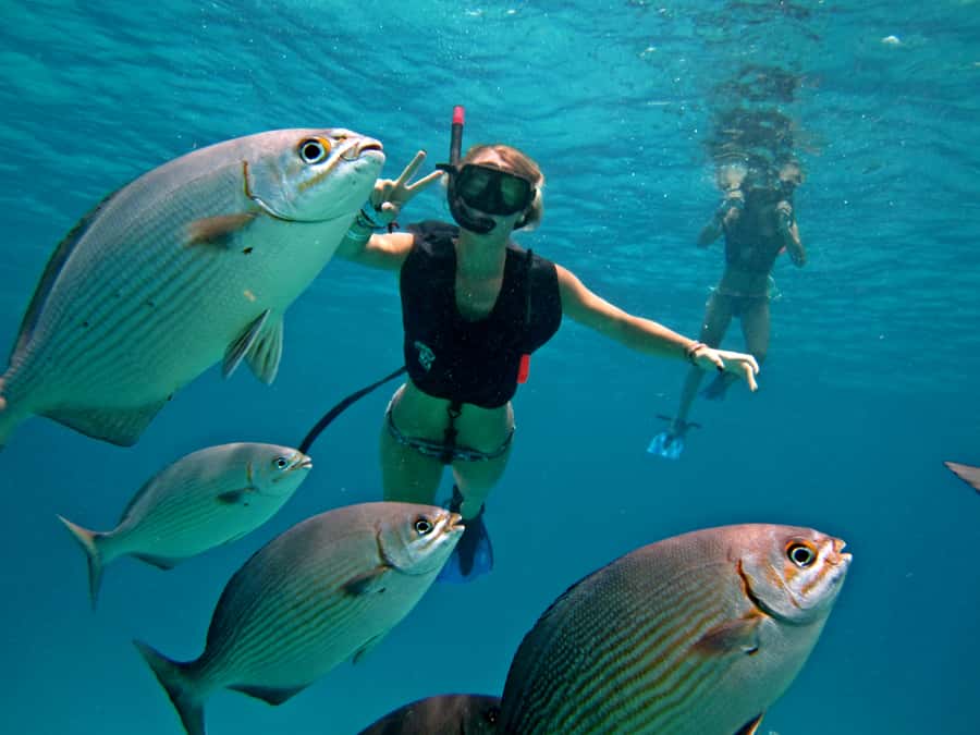 Cozumel: Official Chankanaab Park and Snorkel with Lunch - Price and Value: What You Get for $53 Plus the $11 Marine Fee