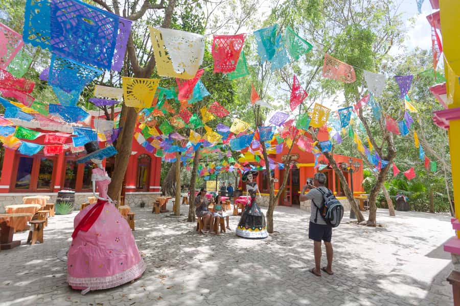 Cozumel: Official Chankanaab Park and Snorkel with Lunch - Who This Cozumel Package Fits Best