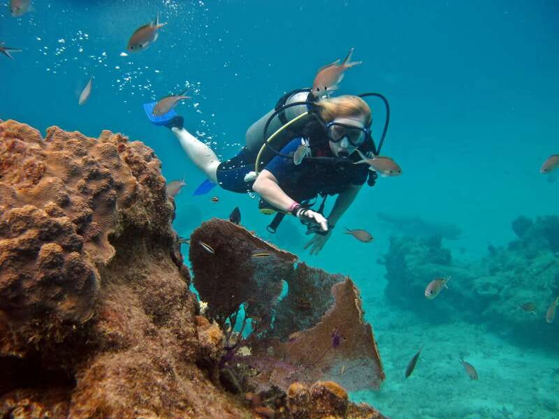 Cozumel: One Tank Scuba Dive and Full Chankanaab Park Access - Your underwater route: caves, sculptures, and reef life near the barrier reef