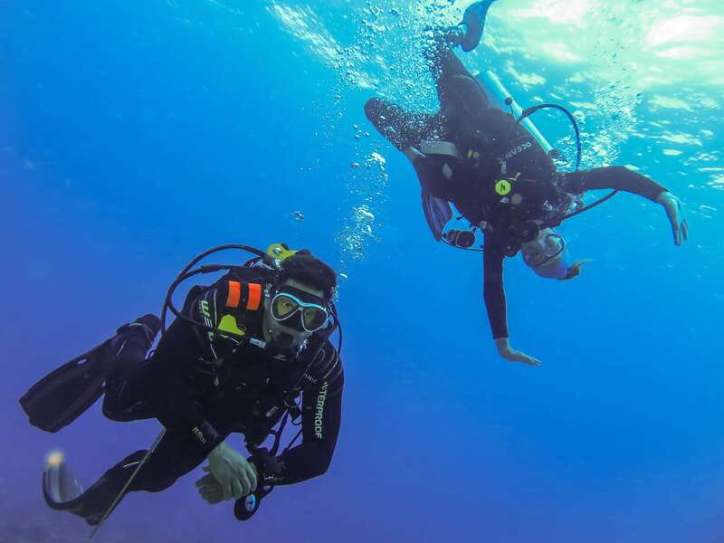 Cozumel: One Tank Scuba Dive and Full Chankanaab Park Access - Small-group attention: the real reason people rate this so highly