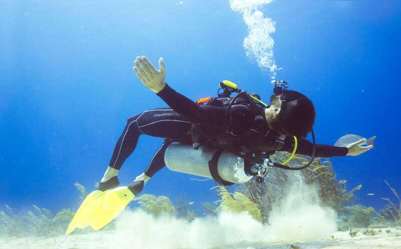 Cozumel: One Tank Scuba Dive and Full Chankanaab Park Access - Gear check and coaching, the part you should pay attention to