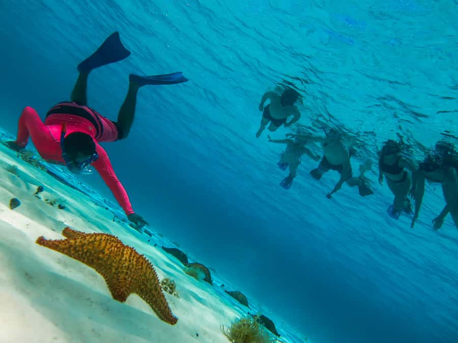 Cozumel: Palancar, Columbia and El Cielo Reefs Snorkel Tour - Key things to know before you go