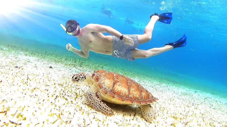 Cozumel: Palancar, Columbia and El Cielo Reefs Snorkel Tour - The Boat Ride and Crew: Friendly, But Know What You Are Booking