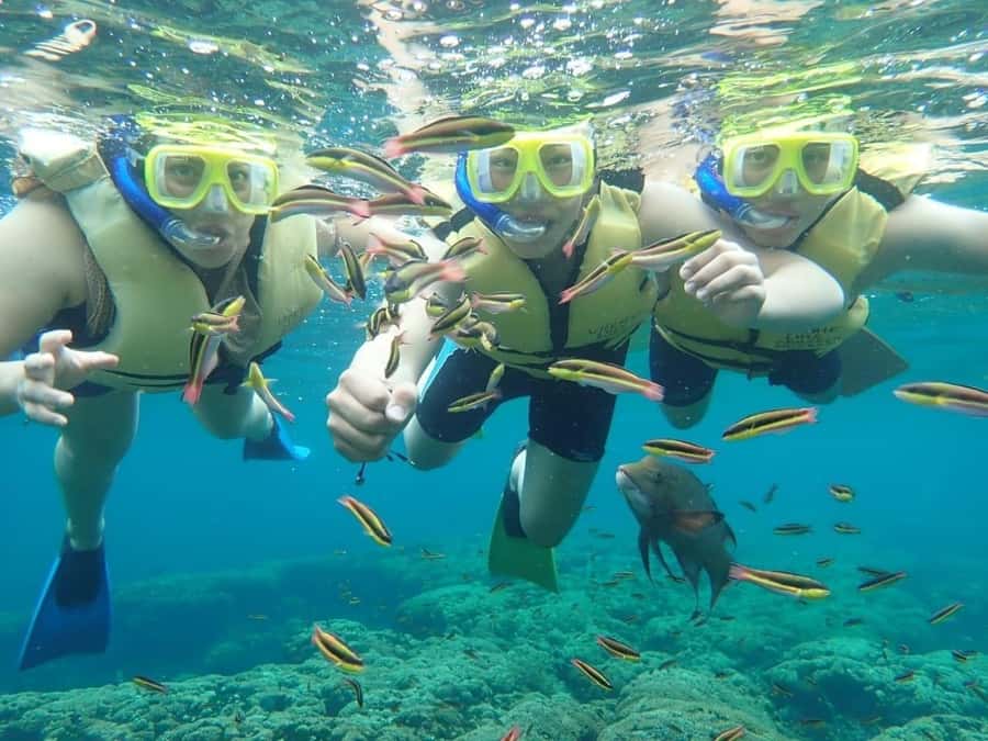 Cozumel: Palancar, Columbia and El Cielo Reefs Snorkel Tour - Snorkeling Gear, Safety, and Beginner Confidence