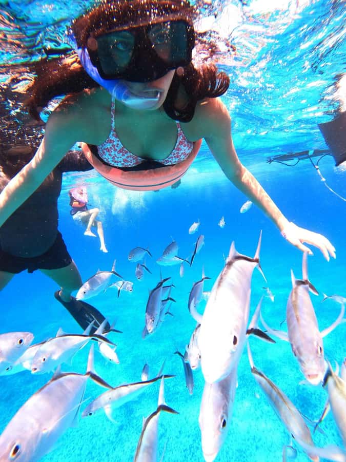 Cozumel: Palancar, Columbia and El Cielo Reefs Snorkel Tour - Food, Drinks, and the Ceviche Moment