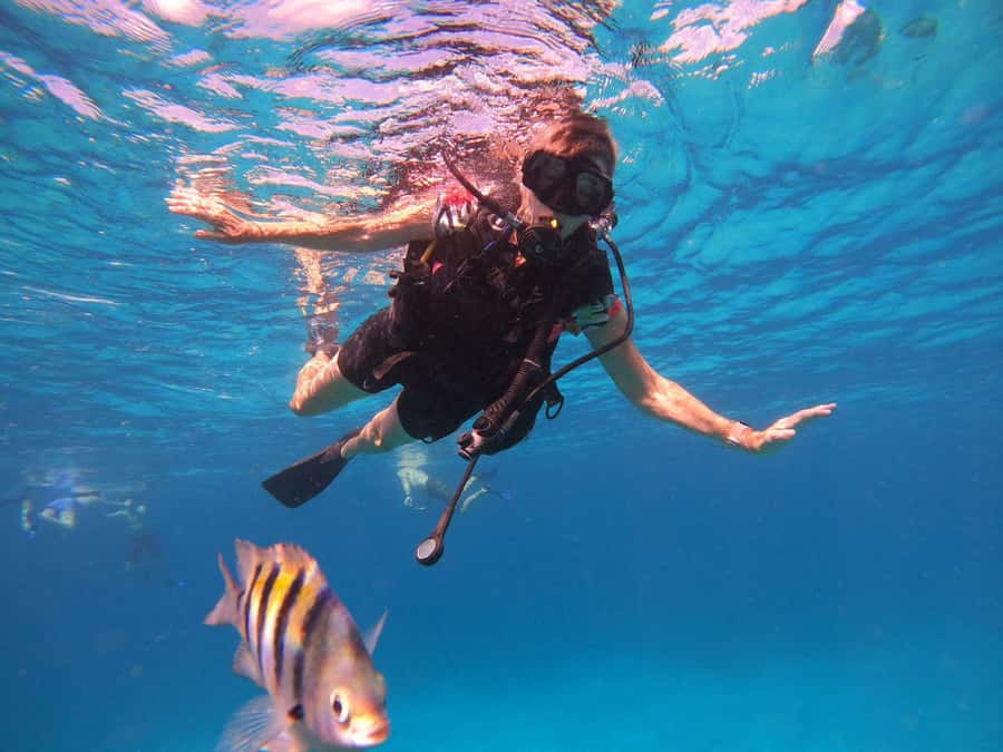 Cozumel: Palancar, Columbia and El Cielo Reefs Snorkel Tour - Price and Logistics: Is $57 Good Value?