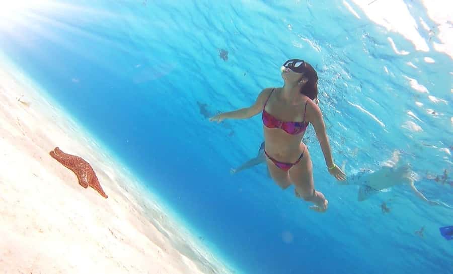 Cozumel: Palancar, Columbia and El Cielo Reefs Snorkel Tour - How This Tour Fits Different Travelers