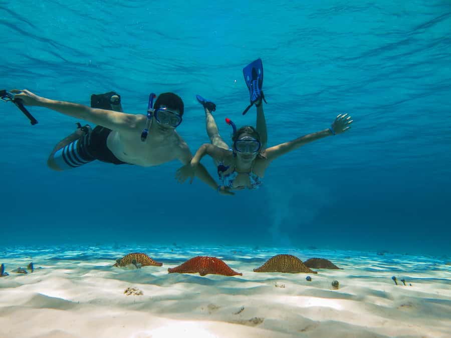 Cozumel: Palancar, Columbia and El Cielo Reefs Snorkel Tour - The Reef Plan: Palancar, Columbia, and El Cielo in Real Life
