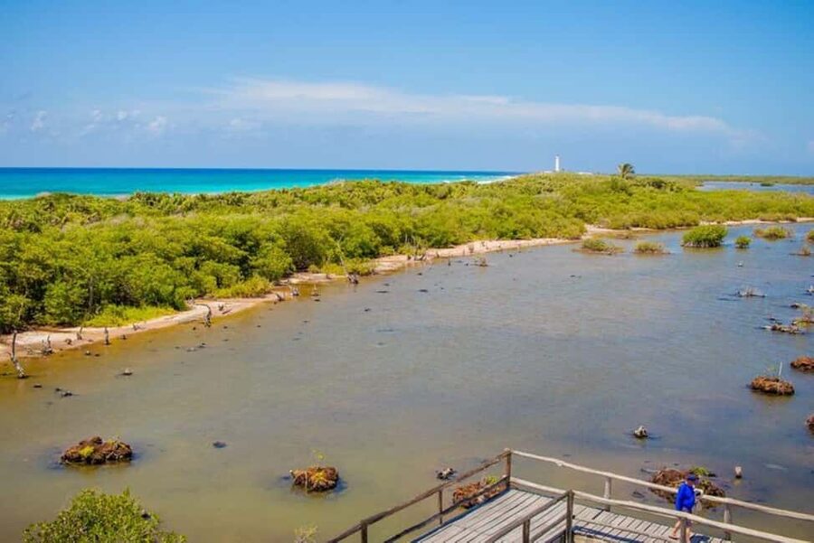 Cozumel: Private Buggy Tour to Punta Sur Park All Inclusive - The easy part: getting from your cruise port or hotel to the buggy