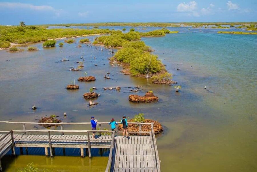 Cozumel: Private Buggy Tour to Punta Sur Park All Inclusive - Flavors of Cozumel: tequila and chocolate tasting with lunch