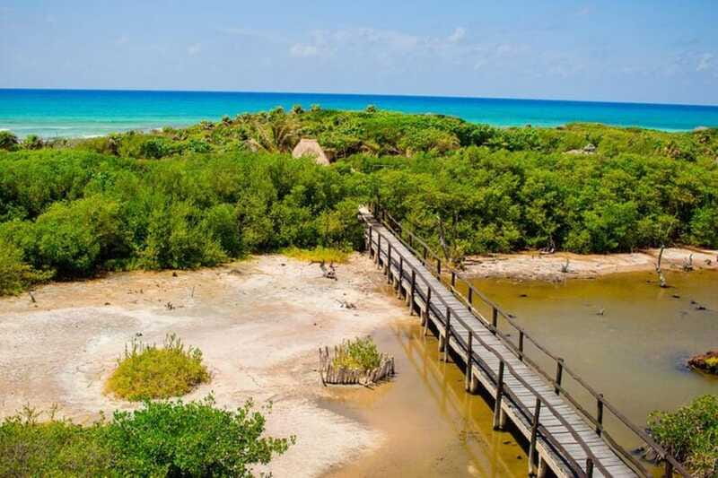 Cozumel: Private Buggy Tour to Punta Sur Park All Inclusive - Private group, customizable stops, and how to get your money’s worth