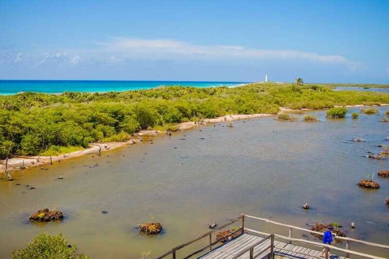 Cozumel: Private Buggy Tour to Punta Sur Park All Inclusive - Who should book this tour, and who might prefer something else