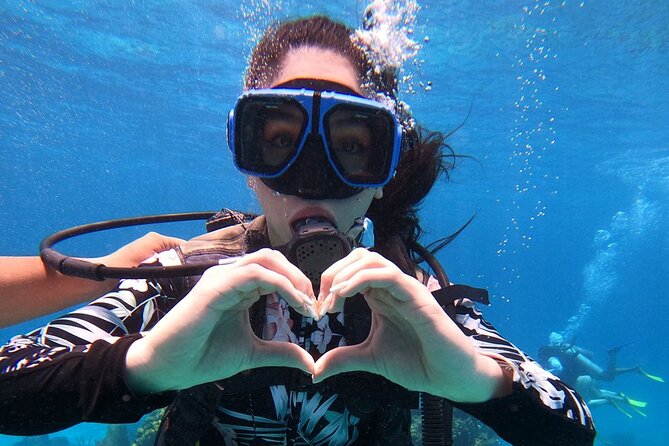 Cozumel Scuba Dive at Chankanaab - Price and what you really pay for: $85 plus the $11 park fee