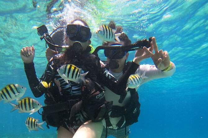 Cozumel Scuba Dive at Chankanaab - Depth, comfort level, and beginner reality checks