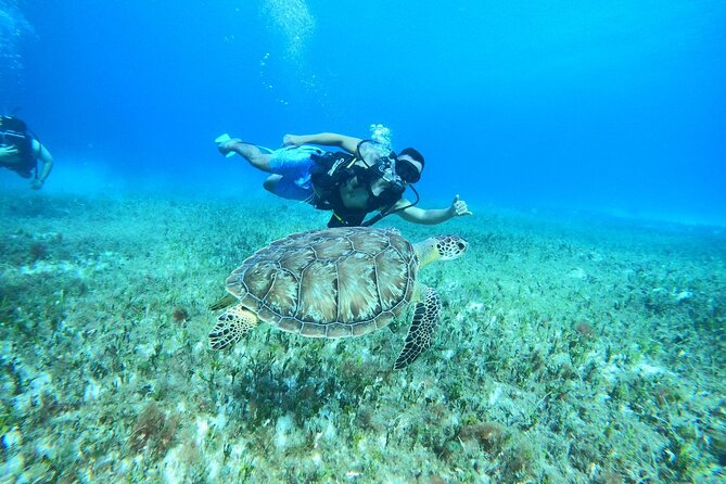 Cozumel Scuba Dive at Chankanaab - After the water: lockers, loungers, and a free drink
