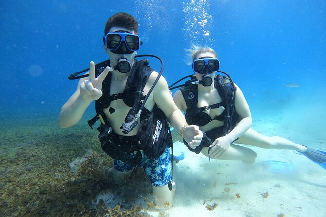 Cozumel Scuba Dive at Chankanaab - Gear and safety notes that matter in Chankanaab