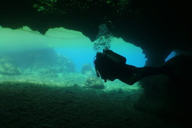 Cozumel Scuba Dive at Chankanaab - Getting to Chankanaab on Cozumel: what to plan from the port