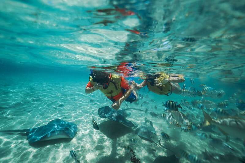 Cozumel: Snorkel and Swim with Stingrays - Why Stingray Beach Cozumel hits the sweet spot for a cruise day