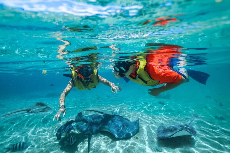 Cozumel: Snorkel and Swim with Stingrays - The coral reef installation with 800 rescued coral: the “why” behind the visit