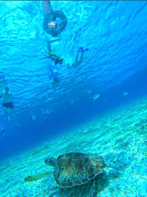 Cozumel: snorkeling on reefs + visit to "El Cielo" - Key highlights that make this tour worth your attention