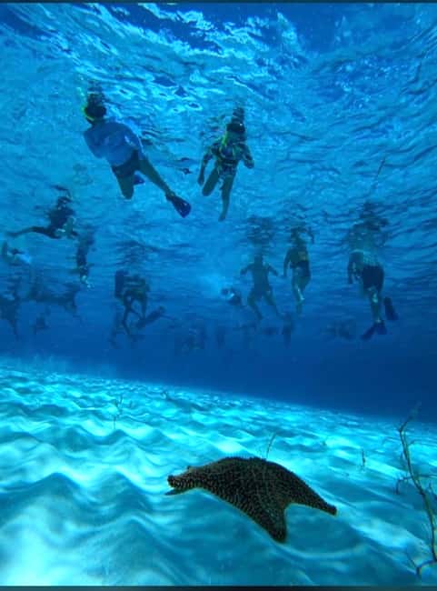 Cozumel: snorkeling on reefs + visit to "El Cielo" - Palancar and Columbia reef snorkeling, plus El Cielo in one tight 4-hour plan