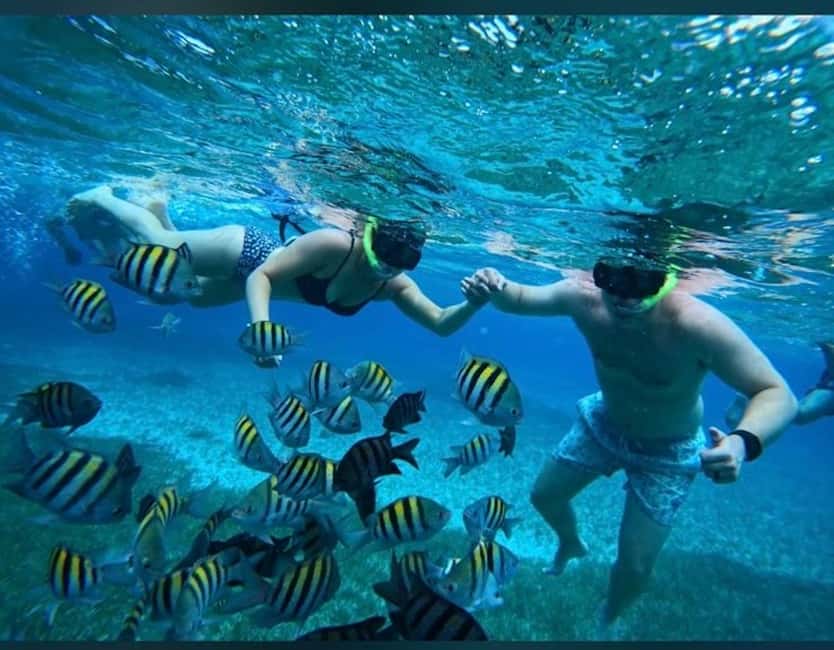 Cozumel: snorkeling on reefs + visit to "El Cielo" - Columbia Reef after Palancar: turtles, tunnels, and coral formations