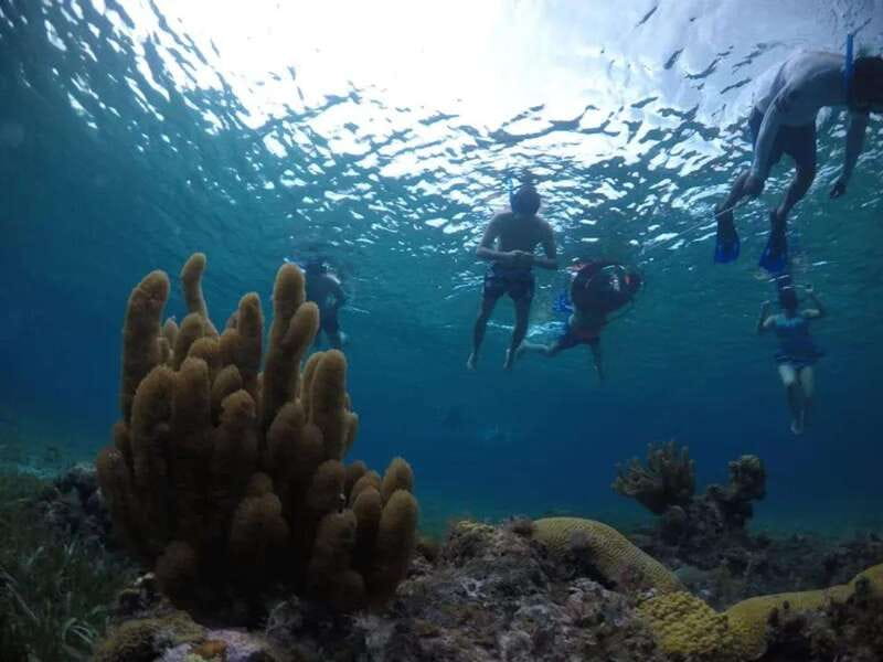 Cozumel: snorkeling on reefs + visit to "El Cielo" - Timing and group flow: when this tour feels smooth, and when it might drag