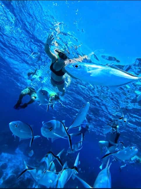 Cozumel: snorkeling on reefs + visit to "El Cielo" - How the reef swims work: Palancar Reef for coral structure and big-life chances