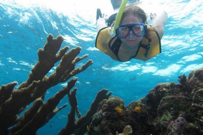 Cozumel Snorkeling Tour: Palancar, Columbia and El Cielo Reefs - Meeting Point at Marina Cozumel, and the Marine Fee You Must Bring