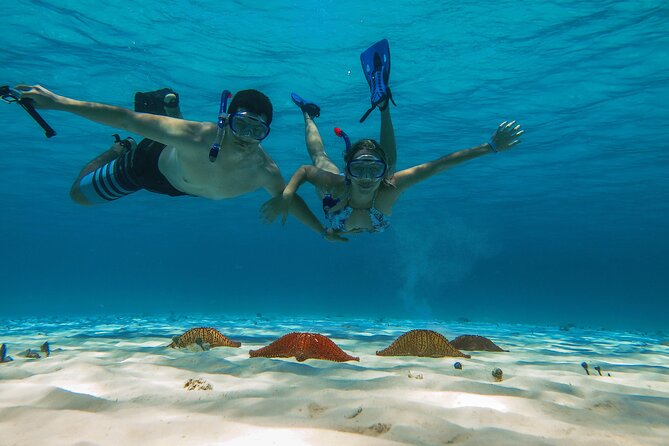 Cozumel Snorkeling Tour: Palancar, Columbia and El Cielo Reefs - Playa el Cielo: The Starfish and Sandbar Stop