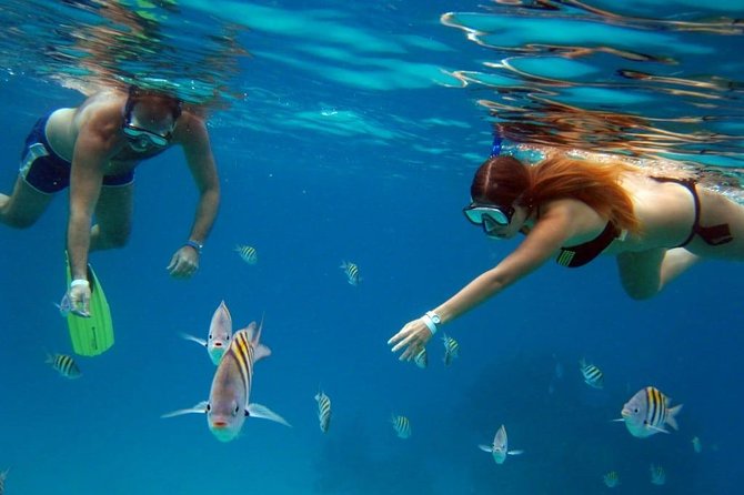 Cozumel Snorkeling Tour: Palancar, Columbia and El Cielo Reefs - Chankanaab Reef and a Second Playa el Cielo Touch
