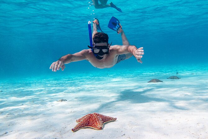 Cozumel Starfish and Tropical Reef Snorkeling by Powerboat with Lunch - On the Water: High-Speed Boat Comfort and a Crew That Keeps an Eye on You
