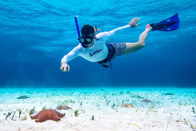 Cozumel Starfish and Tropical Reef Snorkeling by Powerboat with Lunch - Lunch, Light Snacks, and Staying Comfortable in the Sun