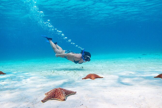 Cozumel Starfish and Tropical Reef Snorkeling by Powerboat with Lunch - Gear Included: Rash Guards and Snorkel Setup That Saves Time