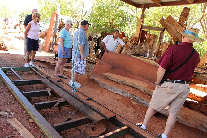 Cultural & Ecology, Nature & History of the hidden towns of Southern Baja! - Santiago: Panoramic Views, the Mission, and Agriculture