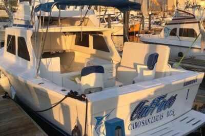 Deep Sea Fishing for 5 Hours from Cabo San Lucas