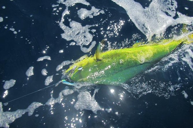 Deep Sea Fishing for 5 Hours from Cabo San Lucas - Included essentials that actually reduce your hassle