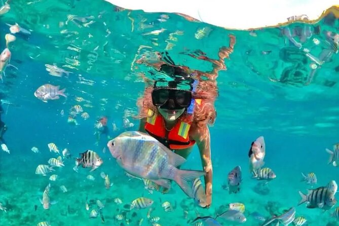Deluxe Catamaran to Isla Mujeres with Open Bar from Cancun - Isla Mujeres Stop: Snorkeling, Beach Club Lunch, and Smart Island Free Time