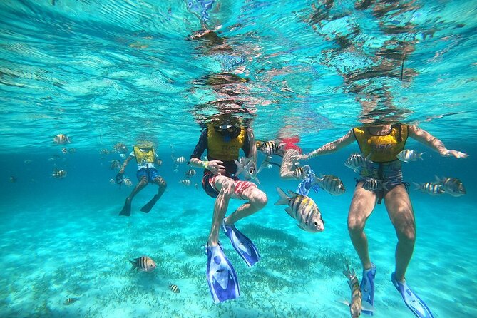 Deluxe Catamaran to Isla Mujeres with Open Bar from Cancun - Who Should Book This Tour, and Who Should Skip It