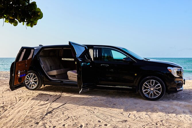 Deluxe GMC Limousine from CUN Airport to Playa Mujeres - The One “Don’t Miss This” Moment: Entertainment Setup
