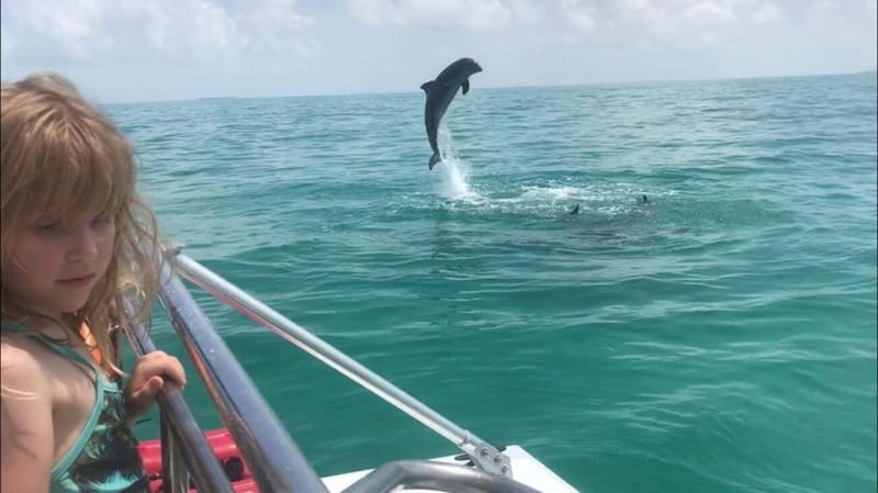 Destin: Dolphin Watching Cruise - Should You Book This Dolphin Watching Cruise in Destin?