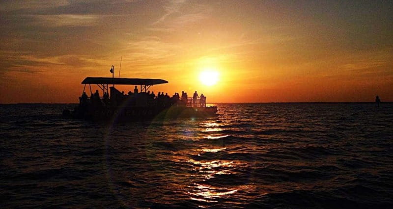 Destin: Dolphin Watching Cruise - From Dock to Open Water: How This 90-Minute Dolphin Cruise Works