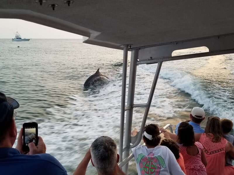 Destin: Dolphin Watching Cruise - Comfort on the Water: Shade, Space, and a Bathroom You Will Actually Use