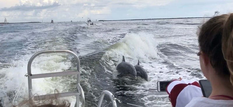 Destin: Dolphin Watching Cruise - What You Need to Bring (and What You Should Leave Behind)