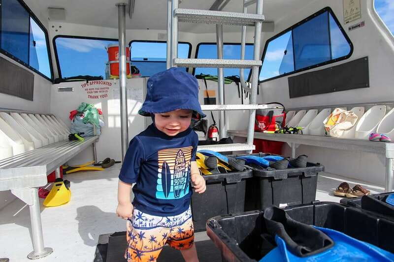 Destin: Dolphin Watching Cruise - Price and Value: Is $30 a Good Deal?