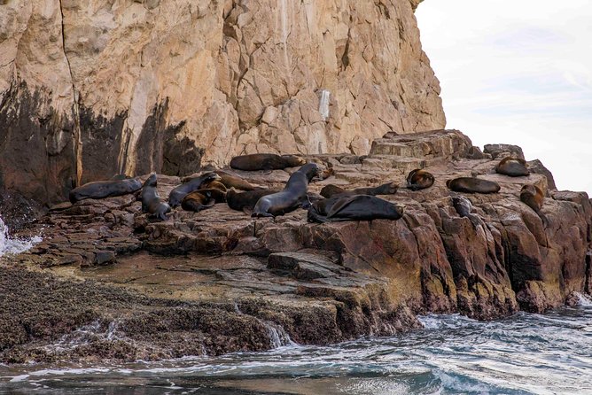 Dinner Cruise Tour in Cabo San Lucas with Tequila Tasting - The dinner cruise setup: buffet, open bar, and party volume