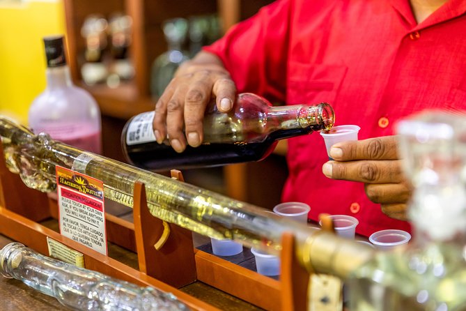 Dinner Cruise Tour in Cabo San Lucas with Tequila Tasting - Entertainment and possible wildlife moments