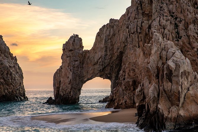 Dinner Cruise Tour in Cabo San Lucas with Tequila Tasting - Price and value at $135: who gets the best deal